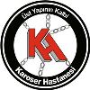 KAROSER HASTANESİ DAMPER TREYLER VE OTOMOTİV SANAYİ