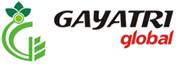 Gayatri Global